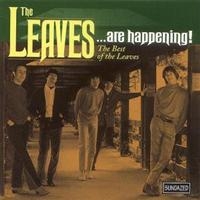 Leaves The - The Leaves...Are Happening! The Bes i gruppen CD hos Bengans Skivbutik AB (543166)