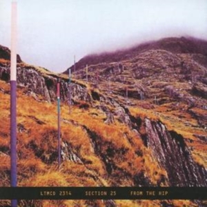SECTION 25 - FROM THE HIP i gruppen CD / Pop-Rock hos Bengans Skivbutik AB (543381)