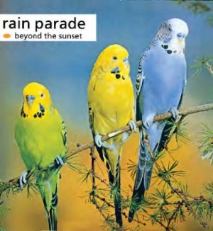Rain Parade - Beyond The Sunset i gruppen CD hos Bengans Skivbutik AB (543484)