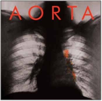 Aorta - Aorta i gruppen CD / Rock hos Bengans Skivbutik AB (546171)