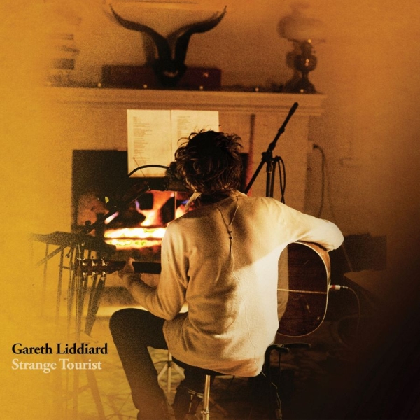Liddiard Gareth - Strange Tourist i gruppen CD / Toppselgere hos Bengans Skivbutik AB (547170)