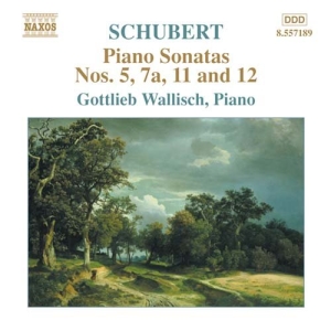Schubert Franz - Piano Sonatas i gruppen CD hos Bengans Skivbutik AB (547212)