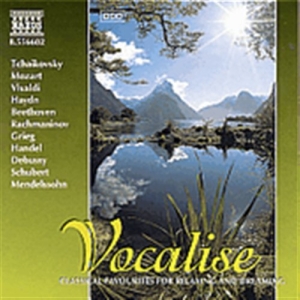 Various - Vocalise i gruppen CD hos Bengans Skivbutik AB (548047)