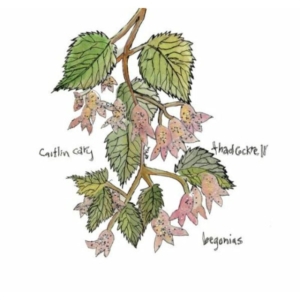 Cary Caitlin And Thad Cockrell - Begonias i gruppen VI TIPSER / Klassiska lablar / YepRoc / CD hos Bengans Skivbutik AB (550011)