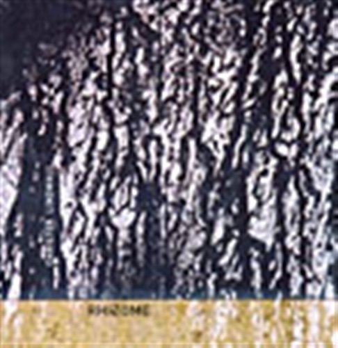 Lindwall Christer - Rhizome i gruppen CD hos Bengans Skivbutik AB (550184)