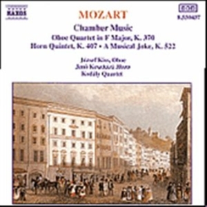 Mozart Wolfgang Amadeus - Chamber Music i gruppen CD hos Bengans Skivbutik AB (5503215)