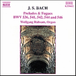 Bach Johann Sebastian - Preludes & Fugues i gruppen CD hos Bengans Skivbutik AB (5503219)