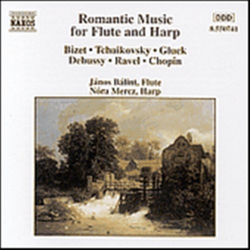 Various - Romantic Music For Flute And H i gruppen CD / Toppselgere hos Bengans Skivbutik AB (5503222)
