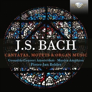 Bach Johann Sebastian - Cantatas, Motets & Organ Music (6Cd i gruppen CD / Klassisk hos Bengans Skivbutik AB (5503882)