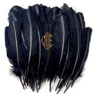 Edwards David Eugene - Hyacinth i gruppen CD hos Bengans Skivbutik AB (5506697)