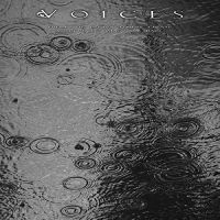 Voices - From The Human Forest Create A Fugu i gruppen CD hos Bengans Skivbutik AB (5507381)