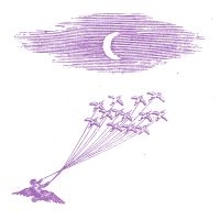Feeling Figures - Migration Magic i gruppen VINYL / Pop-Rock hos Bengans Skivbutik AB (5507863)