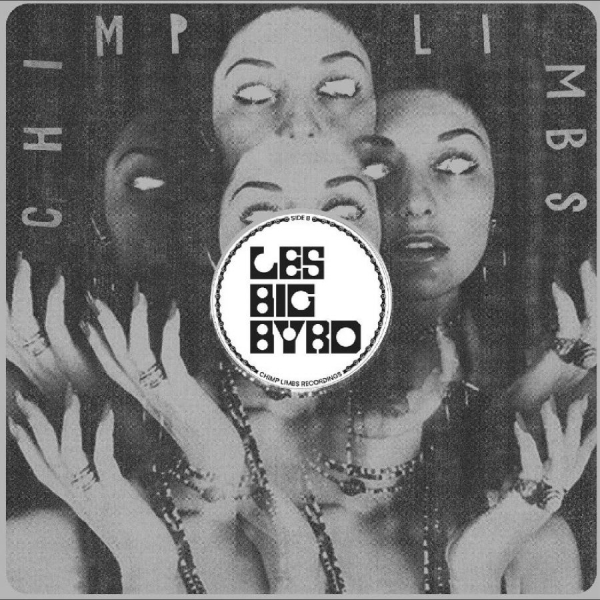 Les Big Byrd - Remixes, Rarieties & Unreleased i gruppen VINYL / Toppselgere hos Bengans Skivbutik AB (5508369)