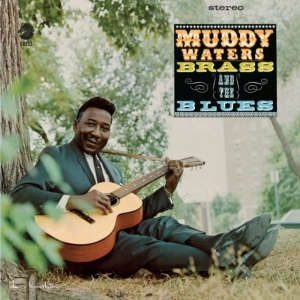 Muddy Waters - Muddy, Brass & The Blues i gruppen Annet /  hos Bengans Skivbutik AB (5509172)