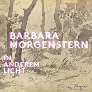 Barbara Morgenstern - In Anderem Licht i gruppen CD hos Bengans Skivbutik AB (5509666)