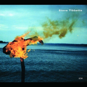 Tibbetts Steve - A Man About A Horse i gruppen CD hos Bengans Skivbutik AB (5509840)