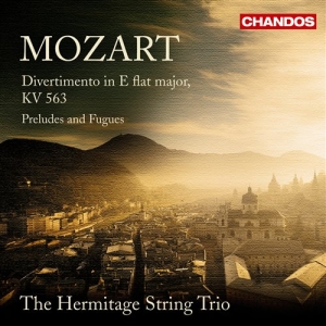 Mozart - Divertimento i gruppen CD / Klassisk hos Bengans Skivbutik AB (5509847)