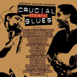 Blandade Artister - Crucial Acoustic Blues i gruppen Annet /  hos Bengans Skivbutik AB (550992)