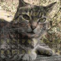 Reciprocate - Soul To Burn i gruppen VINYL / Pop-Rock hos Bengans Skivbutik AB (5510270)