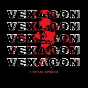 Vexagon - A New Flesh Experience i gruppen CD / Pop-Rock hos Bengans Skivbutik AB (5510379)
