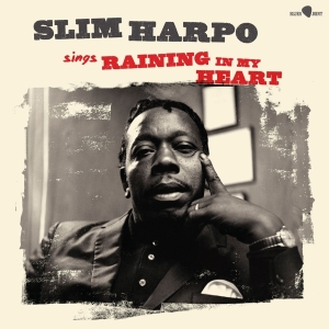Harpo Slim - Sings Raining In My Heart i gruppen VI TIPSER / Fredagsutgivelser / Fredag den 26:e Jan 24 hos Bengans Skivbutik AB (5510425)