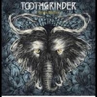 Toothgrinder - Nocturnal Masquerade i gruppen VINYL hos Bengans Skivbutik AB (5510495)