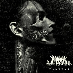 Anaal Nathrakh - Vanitas i gruppen VINYL hos Bengans Skivbutik AB (5510639)
