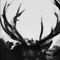 Ihsahn - Ihsahn i gruppen CD hos Bengans Skivbutik AB (5511305)