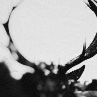 Ihsahn - Ihsahn (Orchestral Version) i gruppen VINYL hos Bengans Skivbutik AB (5511311)