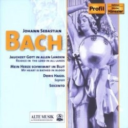 Bach - Kantaten i gruppen CD / Klassisk hos Bengans Skivbutik AB (5511449)