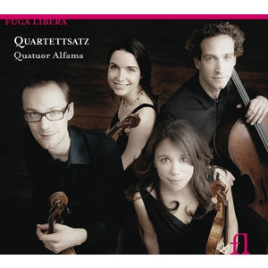 Various - Quartettsatz i gruppen CD hos Bengans Skivbutik AB (5511510)