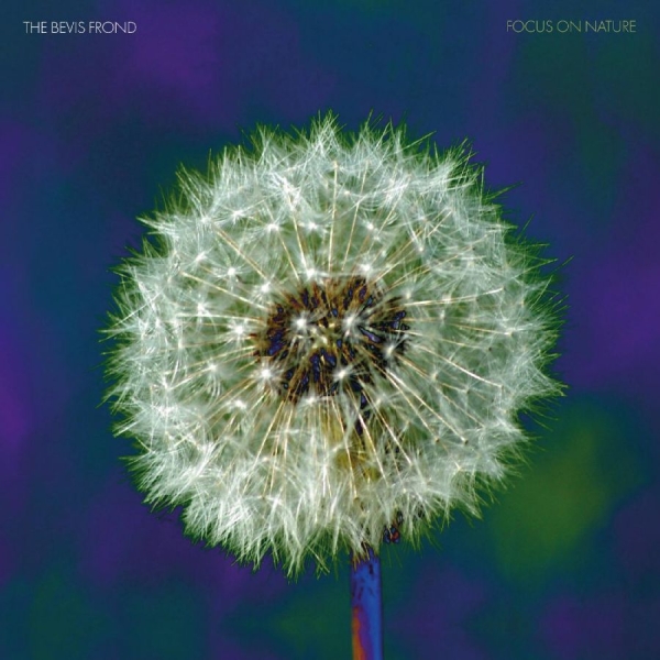 Bevis Frond The - Focus On Nature (Purple Vinyl) i gruppen VI TIPSER / Fredagsutgivelser / Fredag Den 1:a Mars 2024 hos Bengans Skivbutik AB (5511956)