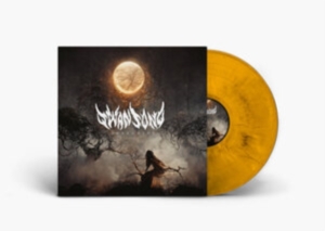 Swansong - Awakening (Orange Marbled Vinyl Lp) i gruppen VI TIPSER / Fredagsutgivelser / Fredag den 19e Jan 24 hos Bengans Skivbutik AB (5512417)