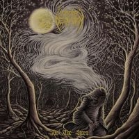 Woods Of Desolation - As The Stars (Vinyl Lp) i gruppen VINYL / Metal hos Bengans Skivbutik AB (5512897)