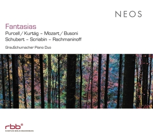 Grauschumacher Piano Duo - Fantasias i gruppen Annet /  hos Bengans Skivbutik AB (5512922)