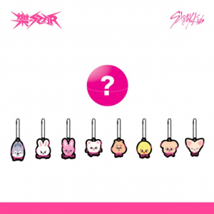 Stray Kids - Star Skzoo Random Keyring i gruppen Korr_grupp /  hos Bengans Skivbutik AB (5513208)