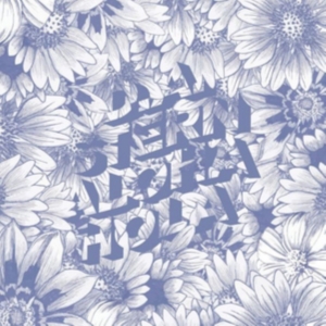 Stern D.A. - Aloha Hola i gruppen Annet /  hos Bengans Skivbutik AB (5513379)