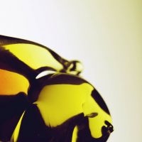 Hooray For Earth - True Loves i gruppen CD / Pop-Rock hos Bengans Skivbutik AB (5513704)