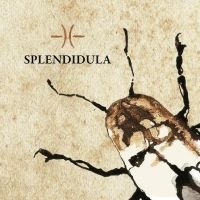 Splendidula - Splendidula i gruppen CD hos Bengans Skivbutik AB (5513786)