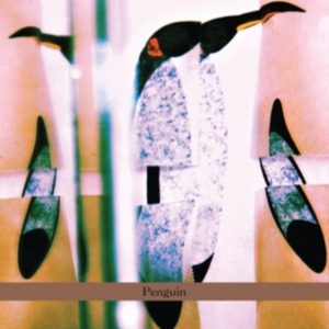 Cohen-Milo Haggai - Penguin i gruppen Annet /  hos Bengans Skivbutik AB (5513896)