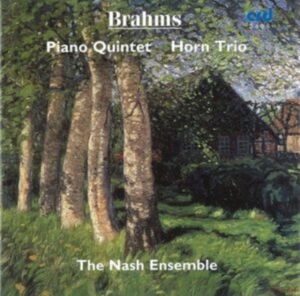 Brahms Johannes - Piano Quintet In F Minor Op.34 / Ho i gruppen Musikk / CD-R / Klassisk hos Bengans Skivbutik AB (5514254)
