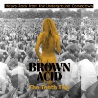 Various Artists - Brown Acid - The Tenth Trip i gruppen VINYL / Pop-Rock hos Bengans Skivbutik AB (5514698)