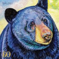 Saloli - Canyon i gruppen VINYL / Pop-Rock hos Bengans Skivbutik AB (5514770)