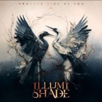 Illumishade - Another Side Of You i gruppen VINYL / Metal hos Bengans Skivbutik AB (5515376)