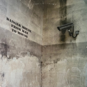 Danger Mouse - From Man To Mouse (Bansky Sleeve) i gruppen Labels /  hos Bengans Skivbutik AB (5515682)