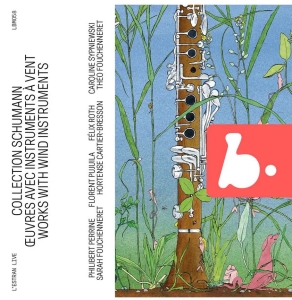 Schumann Robert - Schumann Collection - Works With Wi i gruppen CD / Klassisk hos Bengans Skivbutik AB (5515720)