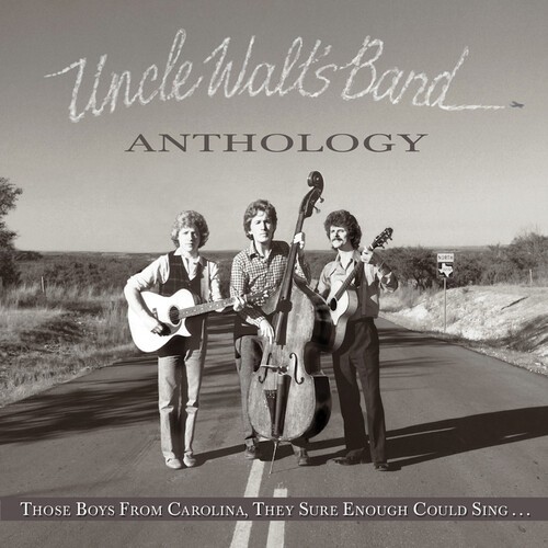 Uncle Walt's Band - Anthology: Those Boys From Car i gruppen Annet /  hos Bengans Skivbutik AB (5516143)