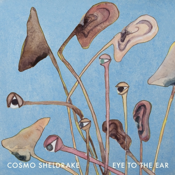 Cosmo Sheldrake - Eye To The Ear i gruppen VINYL / Pop-Rock hos Bengans Skivbutik AB (5516449)