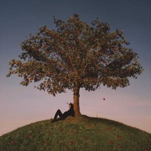 Slowthai - Tyron i gruppen VI TIPSER / Bengans Personal tipser / Elis recommends hos Bengans Skivbutik AB (5516880)