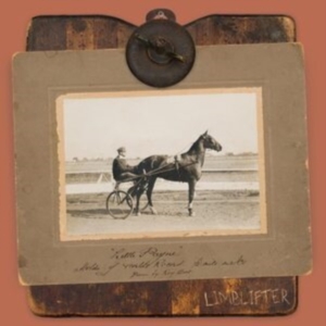 Limblifter - Little Payne i gruppen Annet /  hos Bengans Skivbutik AB (5516970)